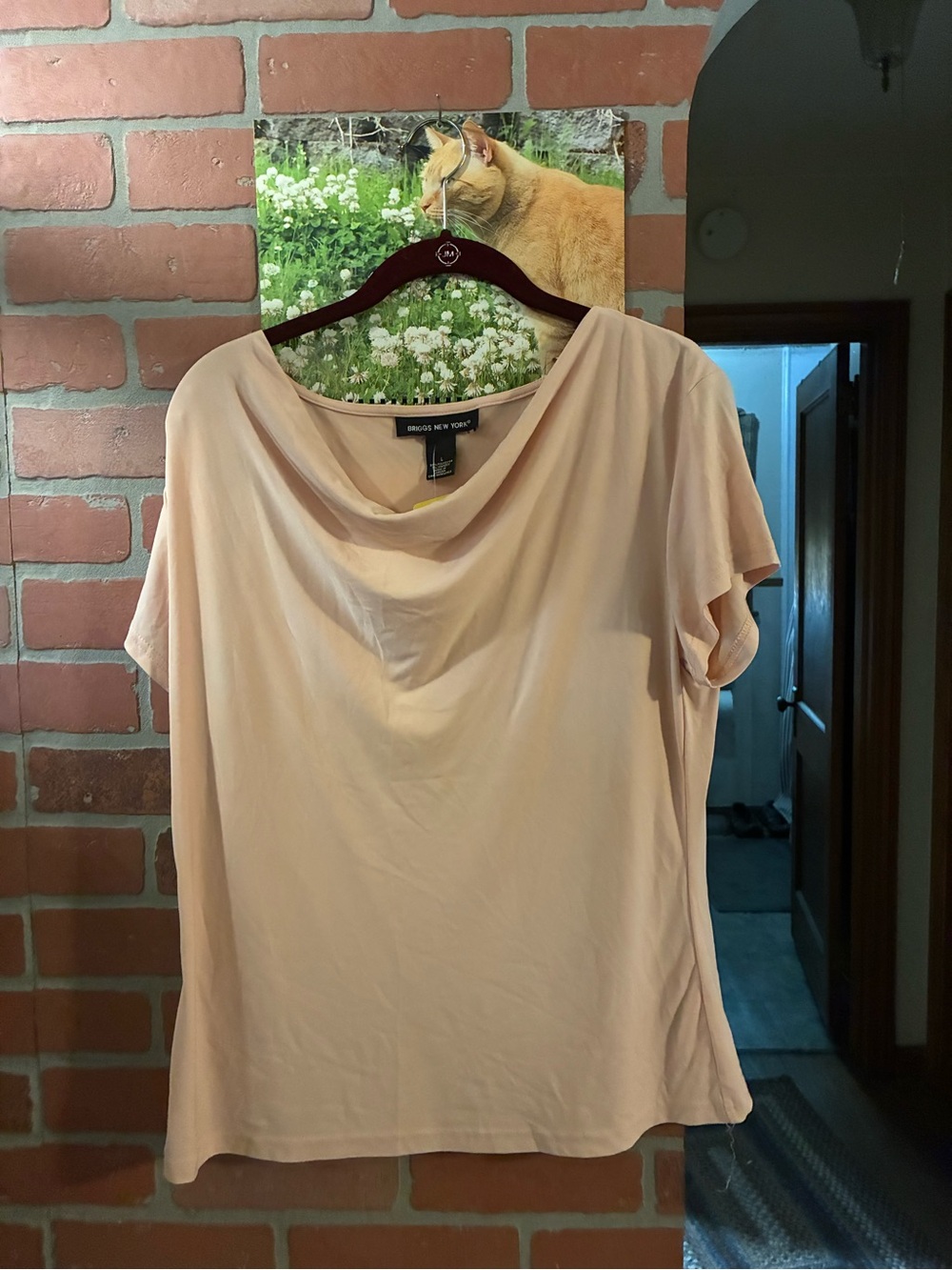 Women’s blouse